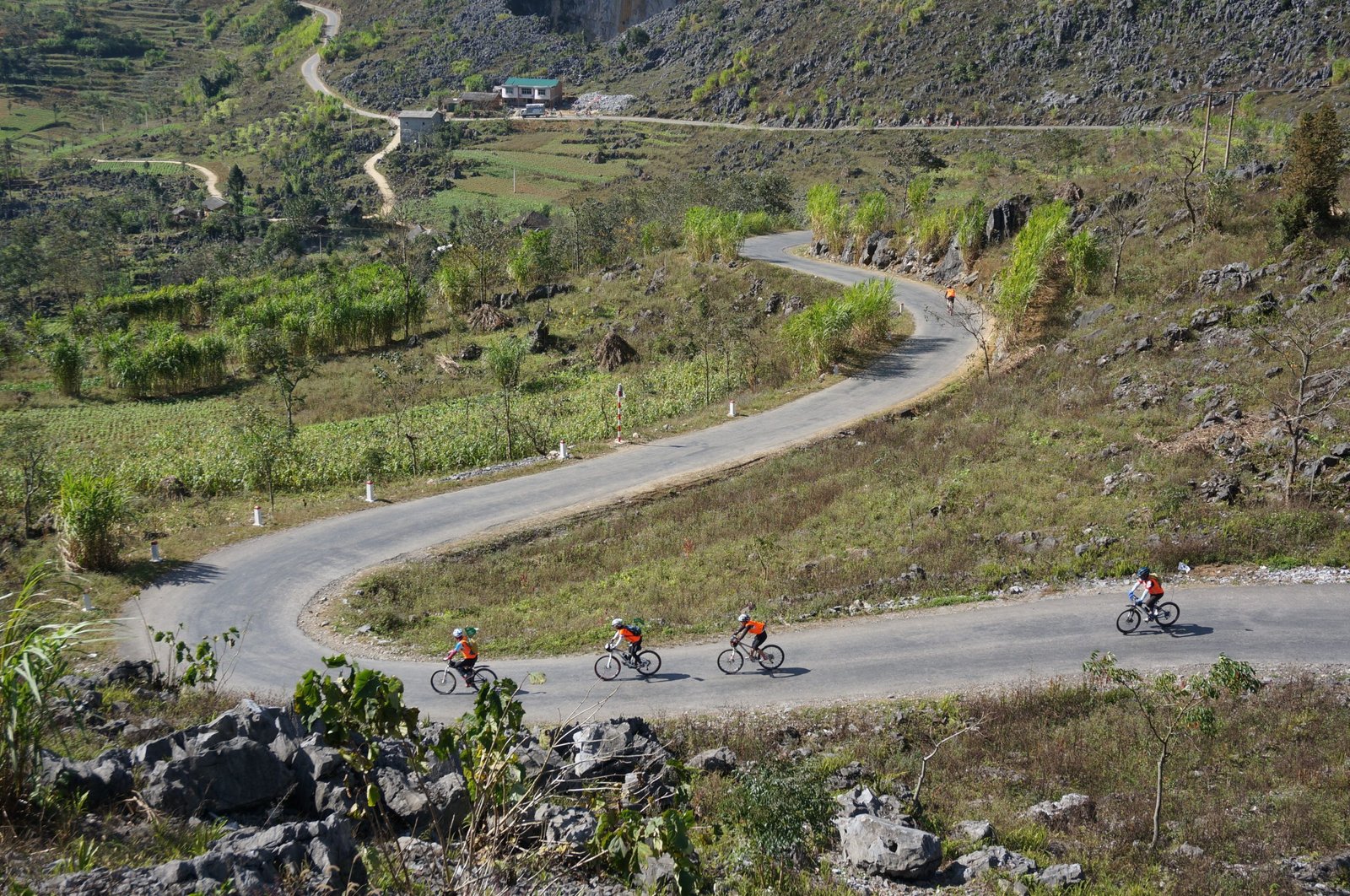 10-Day Ha Giang Loop & Hoang Su Phi Cycling Adventure